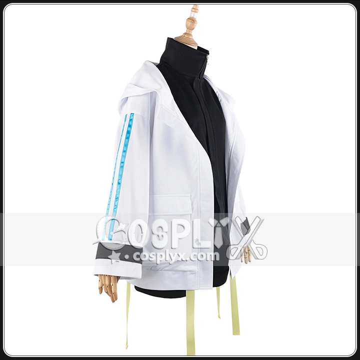 完全再現 コスチューム