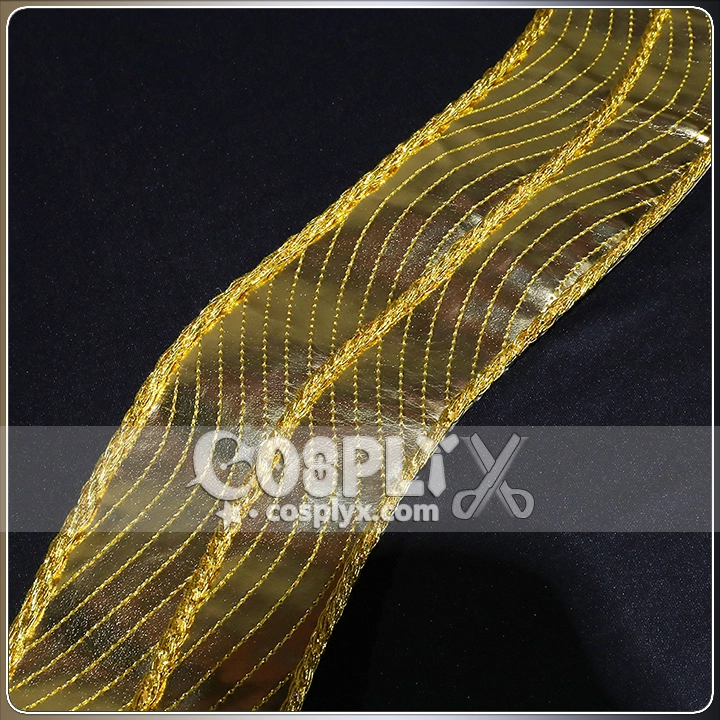 高品質 コスチューム