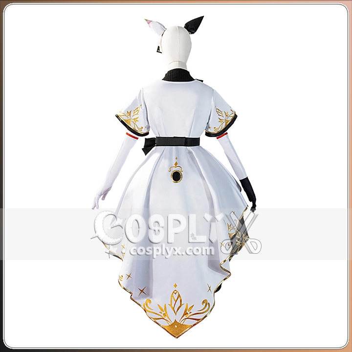 撮影用フルセット