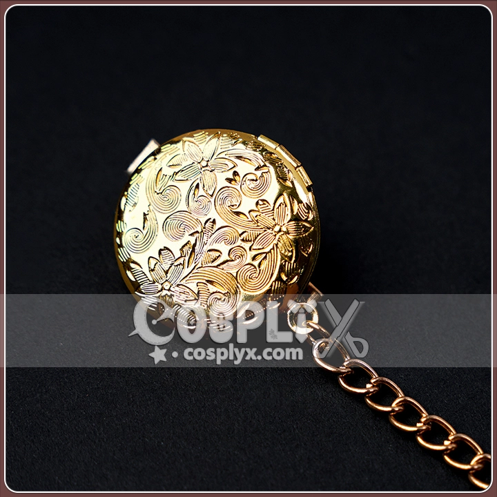 Secret Evidence Seekers