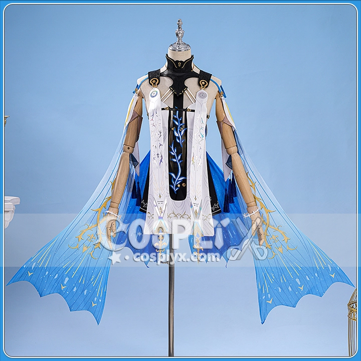 カルテジア コスチューム オーダー